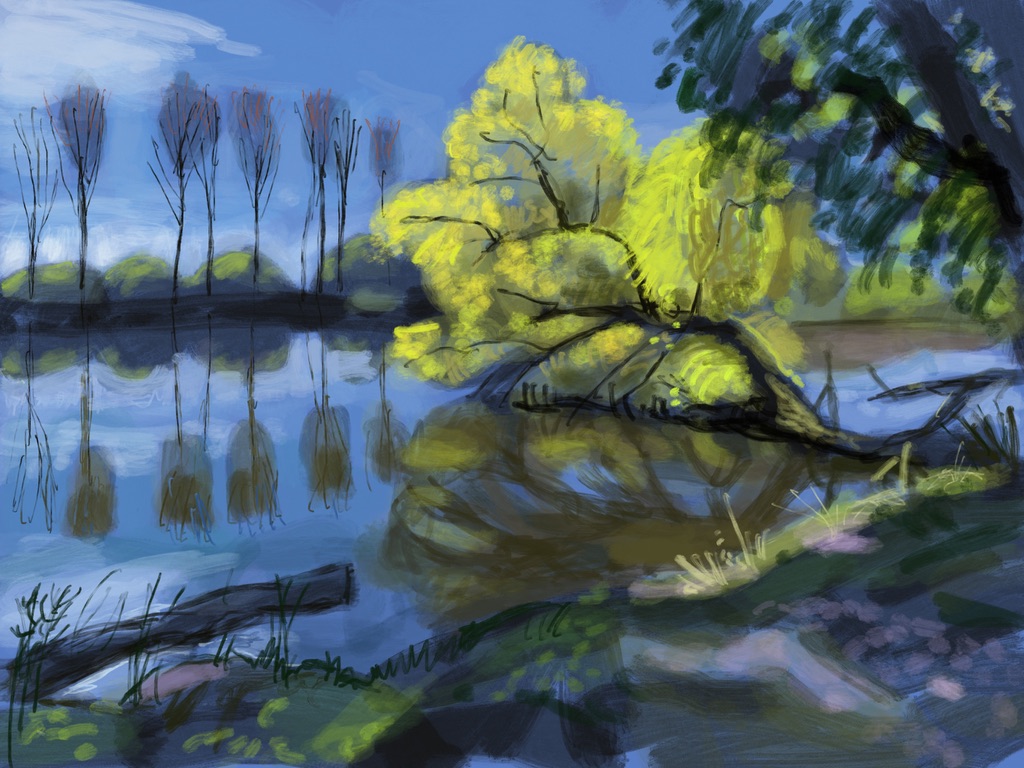 Frühling in der Donauaue