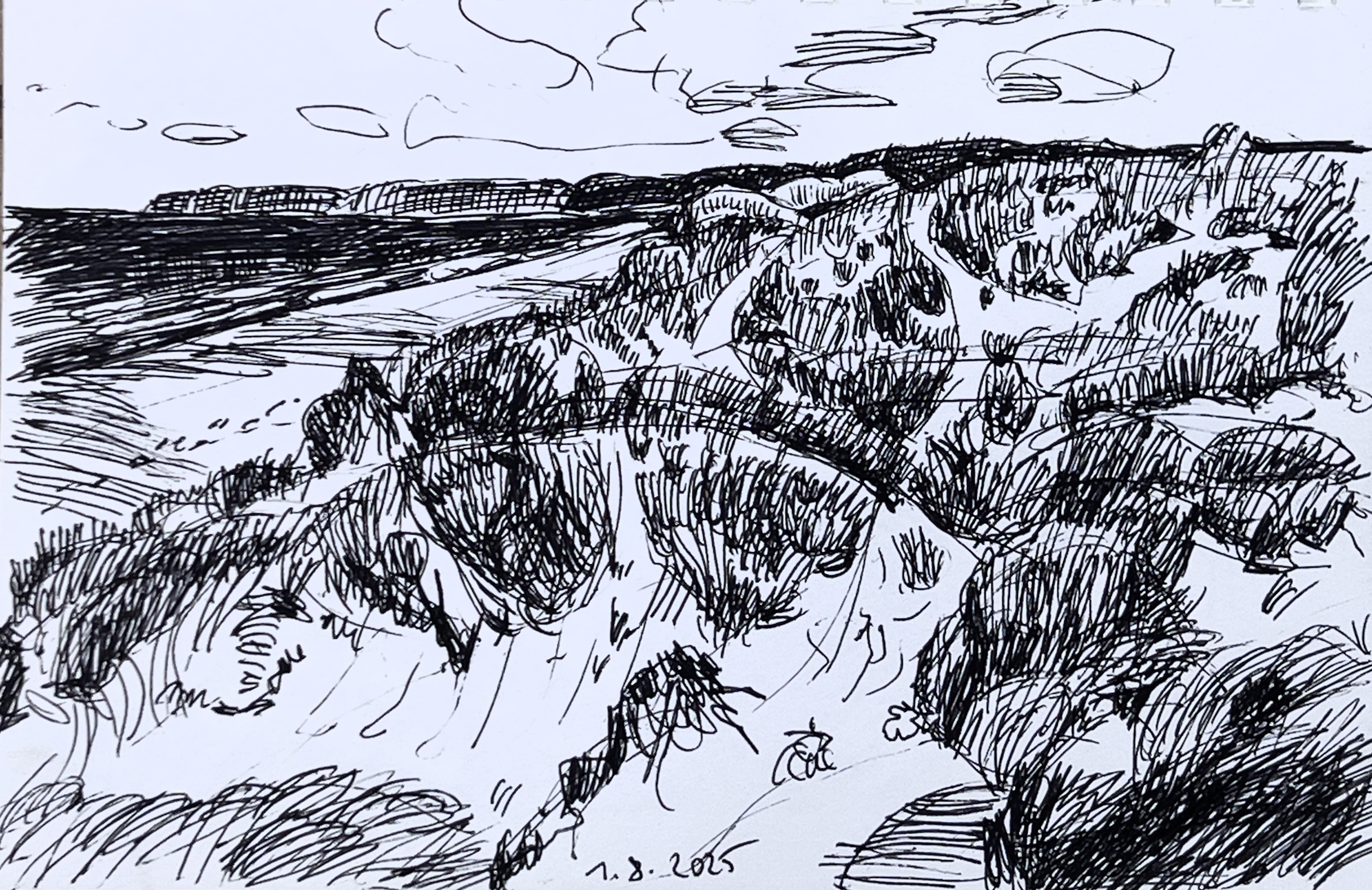 Normandie - Die Dünen von Biville