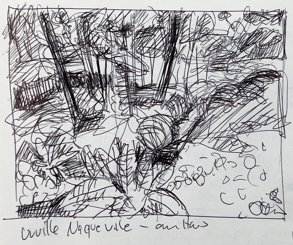 Normandie - Wald bei Dur Ecu