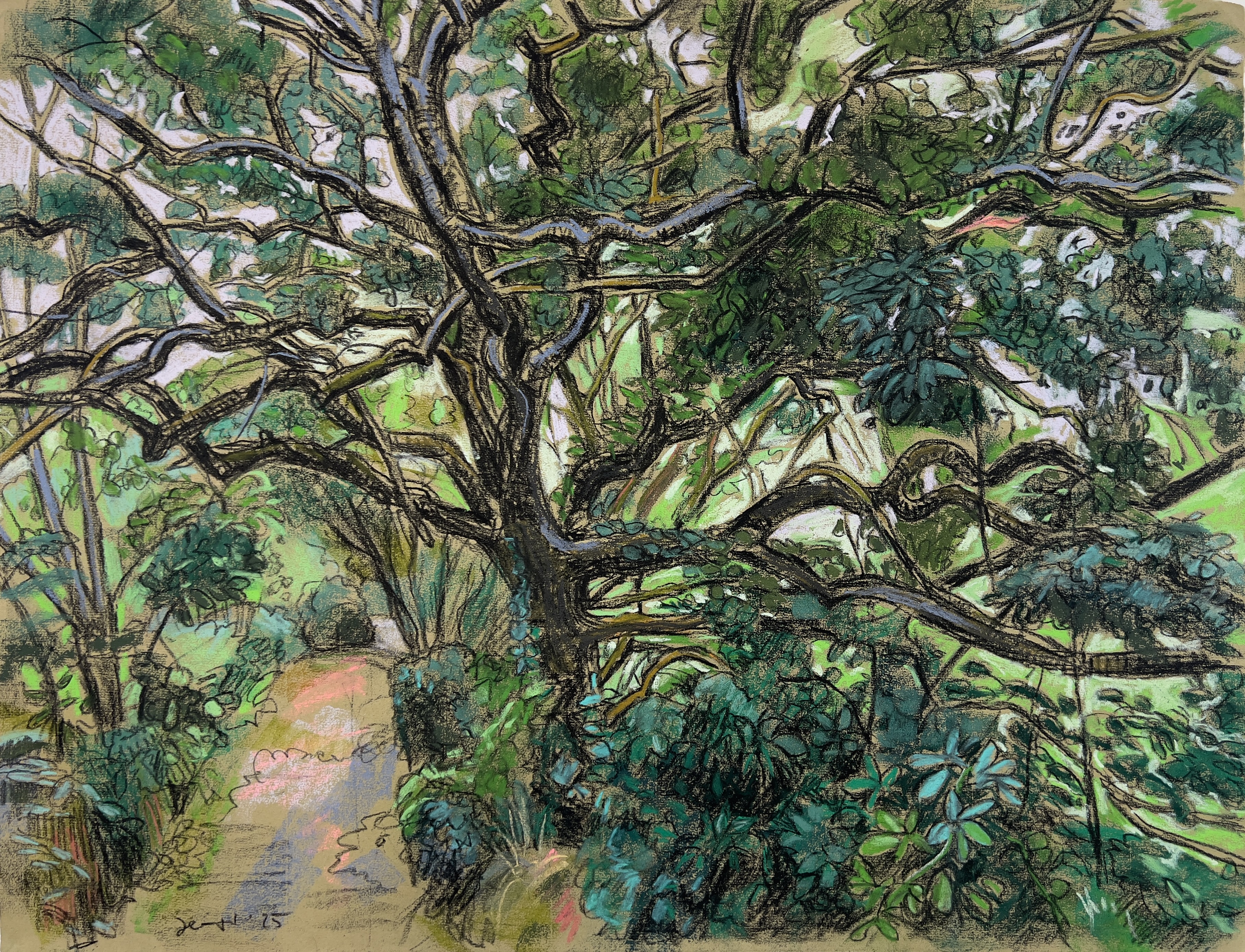 Normandie - Waldweg bei Saint-Germain-des-Vaux