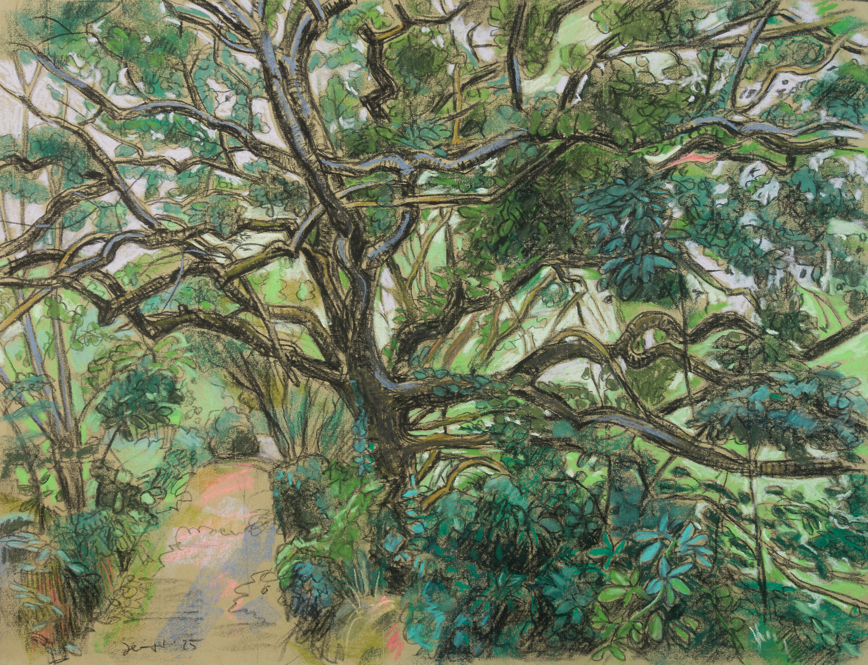 Normandie - Waldweg bei Saint-Germain-des-Vaux