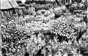 Kurische Nehrung - Garten in Nida