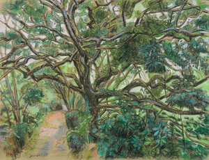 Normandie - Waldweg bei Saint-Germain-des-Vaux